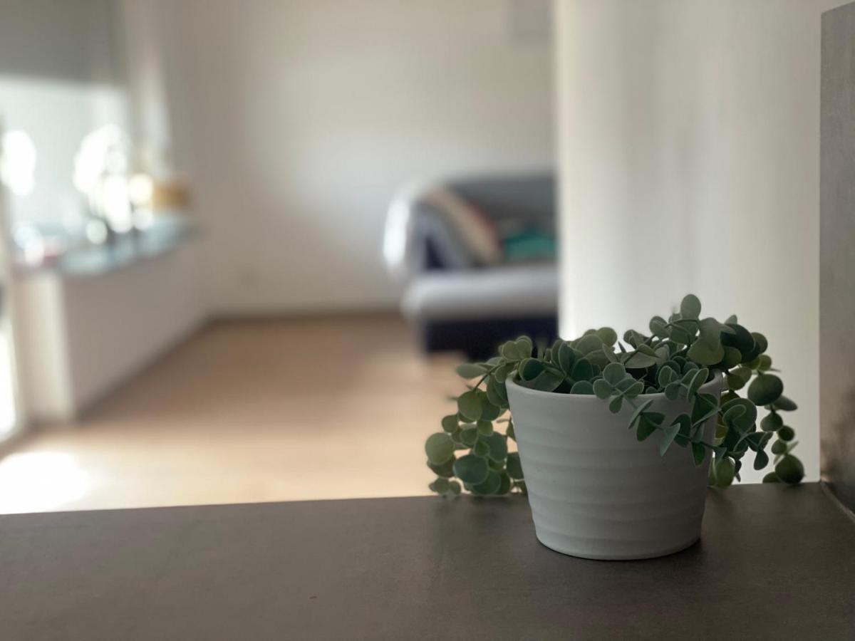 Apartment Mit Parkblick Gratkorn Bagian luar foto